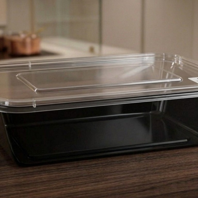 Rectangular Box 650 ML Black+ Transperent Lid